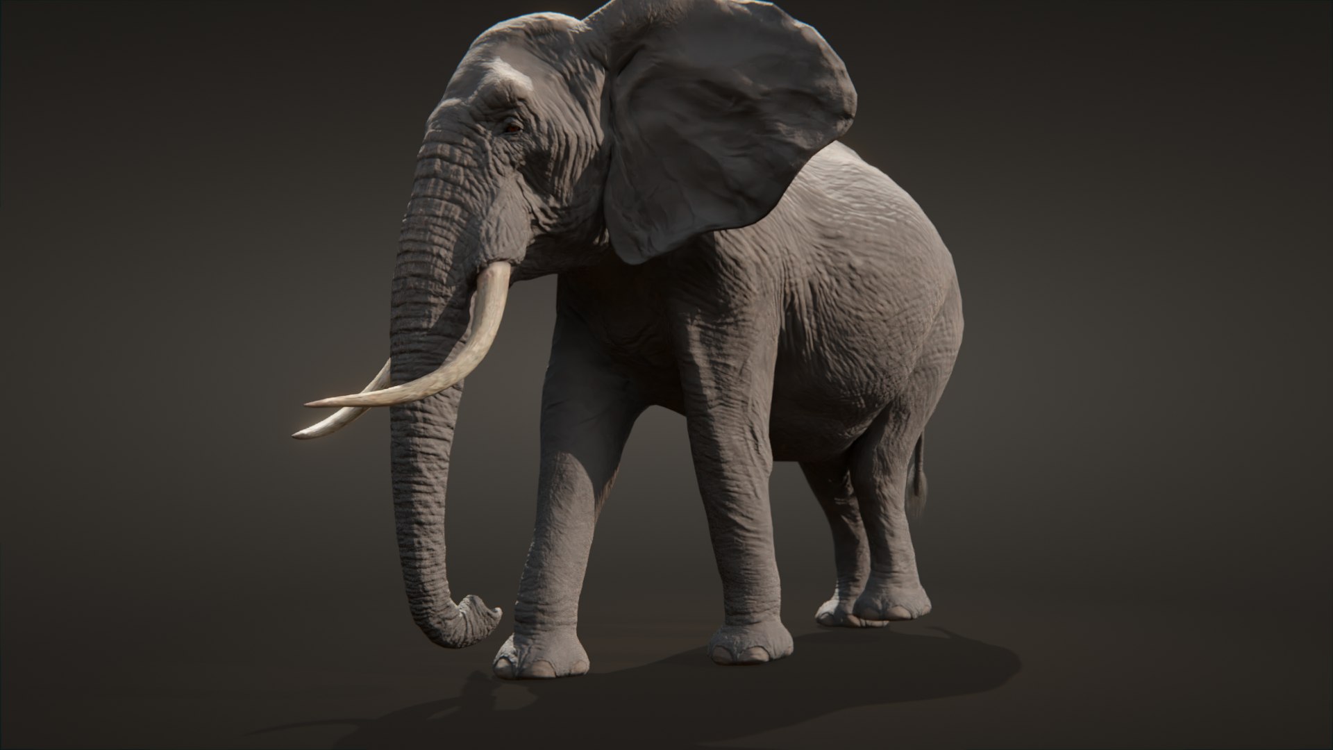 مدل سه بعدی فیل آفریقایی African Elephant