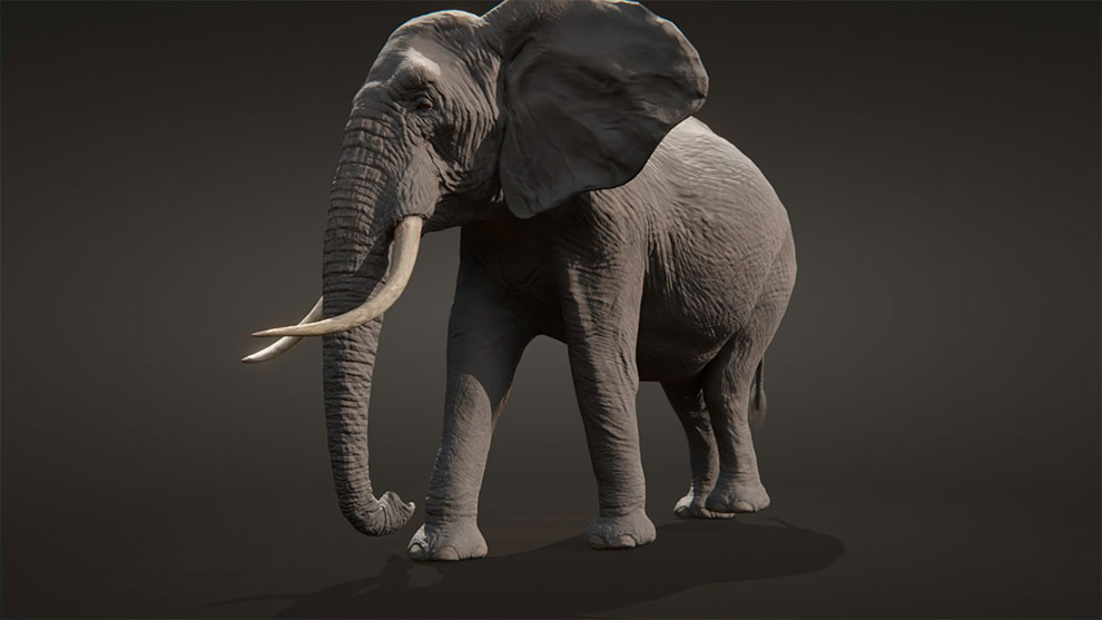 مدل سه بعدی فیل آفریقایی African Elephant