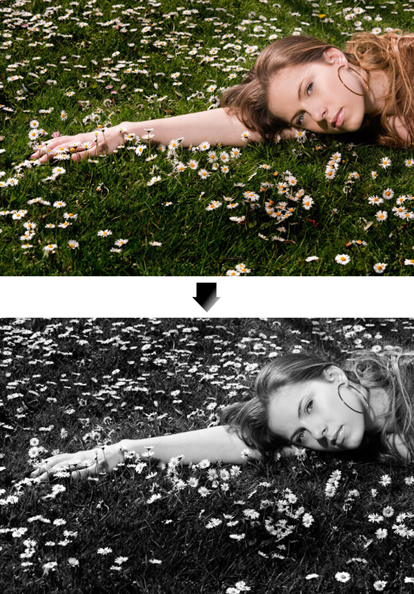 7 روش تبدیل عکس رنگی به سیاه سفید در فتوشاپ