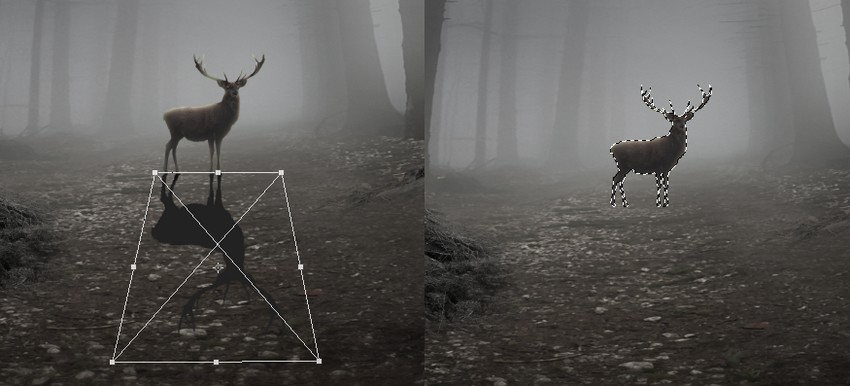 ایجاد یک صحنه جنگلی اسرارآمیز با ادوبی فتوشاپ