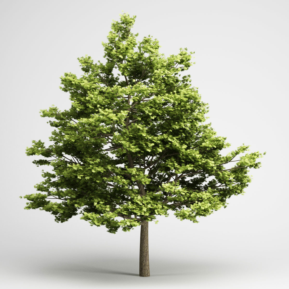 Plant 5 d. Деревья для 3d Max. Деревья в 3ds Max. Дерево для 3д Макс. Деревои 3.